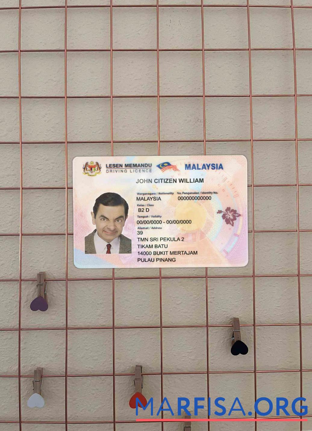 Blank Malaysia DL photolook download for verification